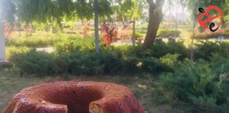 Kuru Meyveli Kek (şekeri azaltılmış) – Sağlıklı Tarifler